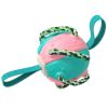 Soccer Ball Dog ChewToy