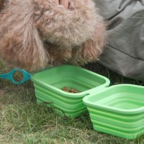 Collapsible Dog Bowls with Aluminum Hook Clip Set of 2) (Color: Green)