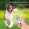 Interactive Dog Chew LED Light Ball Toy