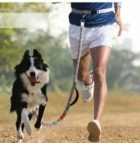 Dual Hands Free Handle Waist Dog Leash with Reflective Bungee (colour: blue-4211)