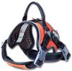 Sporty High-Performance Free-Range Dog Harness