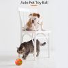 Interactive Dog Chew LED Light Ball Toy