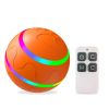 Interactive Dog Chew LED Light Ball Toy