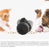 Interactive Dog Toy & Swing Training Food Dispenser