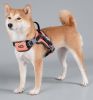 Sporty High-Performance Free-Range Dog Harness