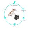 Interactive Dog Toy & Swing Training Food Dispenser