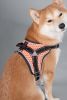 Sporty High-Performance Free-Range Dog Harness