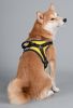 Sporty High-Performance Free-Range Dog Harness