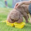 Collapsible Dog Bowls with Aluminum Hook Clip Set of 2)