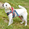 Step-In Denim Dog Harness