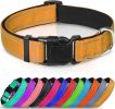 Soft Padded Nylon Reflective Dog Collar