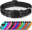 Soft Padded Nylon Reflective Dog Collar