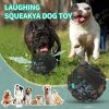 PawPartner, Interactive Squeaky Giggle Dog Ball Toy