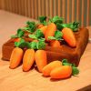 12 Plush Carrots Dog Puzzle Toys