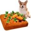 12 Plush Carrots Dog Puzzle Toys