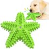 Sea Star Shaped Dog Toothbrush with Sound