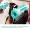 Natural Soft Rubber Dog Chewing Toothbrush