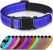 Soft Padded Nylon Reflective Dog Collar