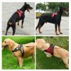 Dog Chest Strap Harness