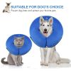 Elizabethan Collar for Dogs Recovery