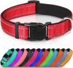 Soft Padded Nylon Reflective Dog Collar