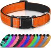 Soft Padded Nylon Reflective Dog Collar