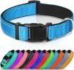 Soft Padded Nylon Reflective Dog Collar