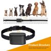 Electric Dog Fence System With Collar Receiver