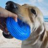 Dog Squeaky Chew Toys