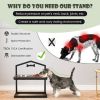 Elevated Adjustable Height Feeder Stand with 2 Dog Bowls