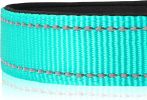 Soft Padded Nylon Reflective Dog Collar