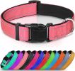 Soft Padded Nylon Reflective Dog Collar