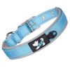 Reflective Nylon Dog Collar