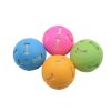 Cute Hollow Footprint Chew  Ball Toy