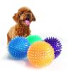 Squeaky Chewy Spike Dog Ball Toy