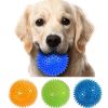 Squeaky Chewy Spike Dog Ball Toy