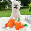 Plush Double-Bone Chicken Leg & Carrot  Dog Toy