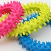 Durable, Colorful Round Spiky Chew Dog Toy