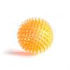 Squeaky Chewy Spike Dog Ball Toy