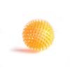 Colorful Spiky Squeaky Ball Toy