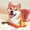 Fun Braided Carrot or Duck Rope Dog Toys