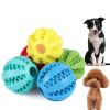 Non-toxic Rubber Ball, Interactive Squeaky, Chewy Dog  Toy