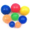 Squeaky Chewy Spike Dog Ball Toy