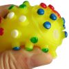 Dotted, Dumbbell Shape, Molar, Squeaky Dog Toy