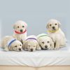 12 Color ID Bands  Adjustable Double-Sided Puppy Collar