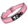 Reflective Nylon Dog Collar