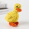 Fun Braided Carrot or Duck Rope Dog Toys