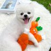 Plush Double-Bone Chicken Leg & Carrot  Dog Toy