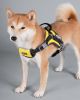 Sporty High-Performance Free-Range Dog Harness