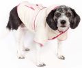 Pet Life Double-Tone Buckled Dog Jacket